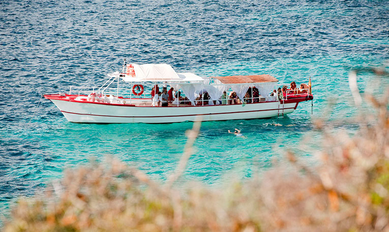 Ibiza trip in catamaran for 35 passengers